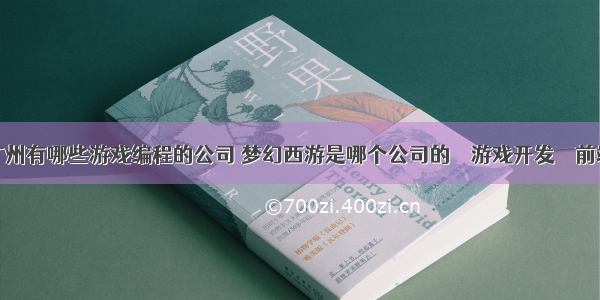 广州有哪些游戏编程的公司 梦幻西游是哪个公司的 – 游戏开发 – 前端