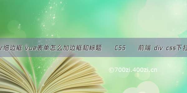 border细边框 vue表单怎么加边框和标题 – CSS – 前端 div css下拉菜单