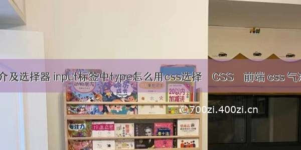 css简介及选择器 input标签中type怎么用css选择 – CSS – 前端 css 气泡动画