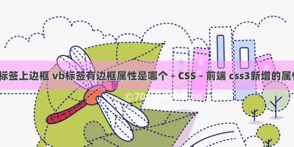 border标签上边框 vb标签有边框属性是哪个 – CSS – 前端 css3新增的属性选择器