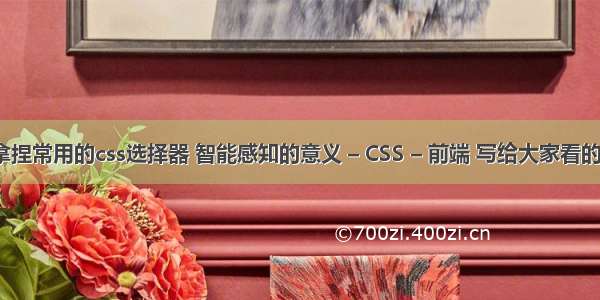 快速拿捏常用的css选择器 智能感知的意义 – CSS – 前端 写给大家看的css书