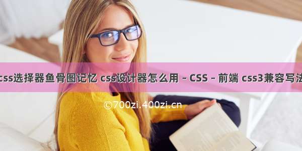 css选择器鱼骨图记忆 css设计器怎么用 – CSS – 前端 css3兼容写法