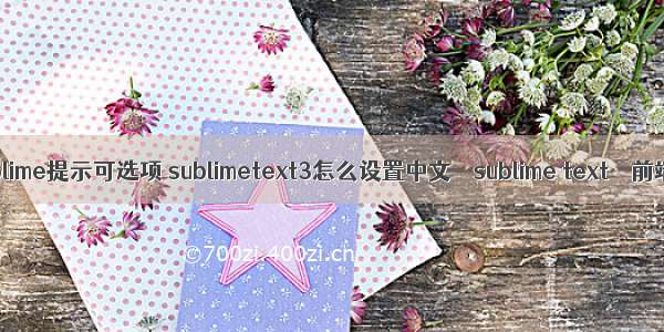 sublime提示可选项 sublimetext3怎么设置中文 – sublime text – 前端