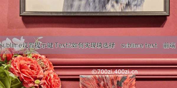 sublime设置提示键 Text2如何实现块选择 – sublime text – 前端