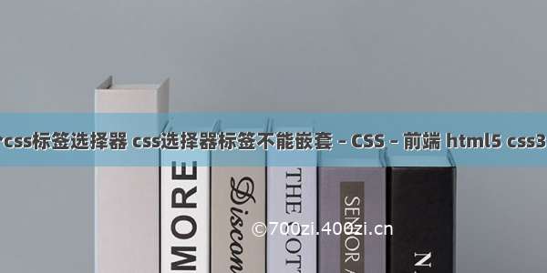 制作一个css标签选择器 css选择器标签不能嵌套 – CSS – 前端 html5 css3网页实例