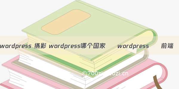 wordpress 摄影 wordpress哪个国家 – wordpress – 前端