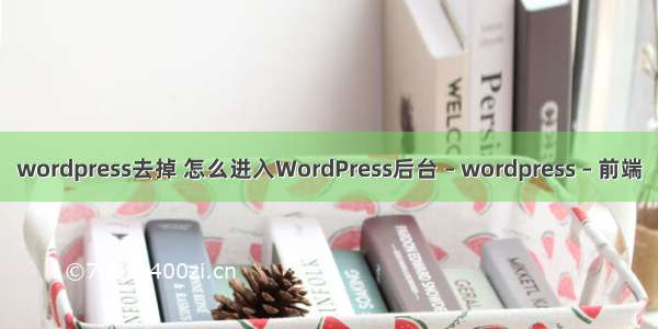 wordpress去掉 怎么进入WordPress后台 – wordpress – 前端