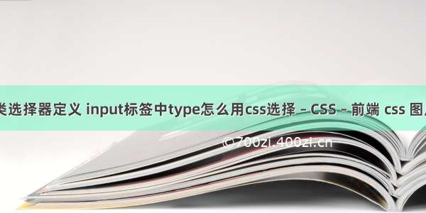 css类选择器定义 input标签中type怎么用css选择 – CSS – 前端 css 图片 层