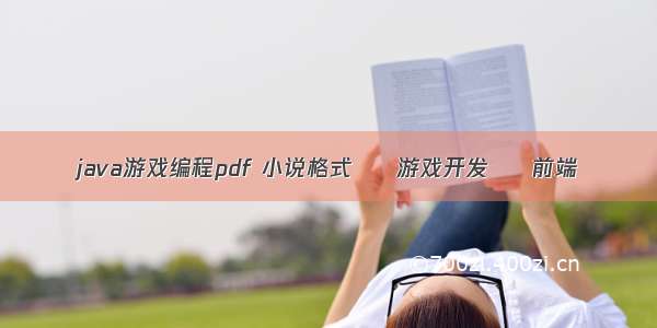 java游戏编程pdf 小说格式 – 游戏开发 – 前端