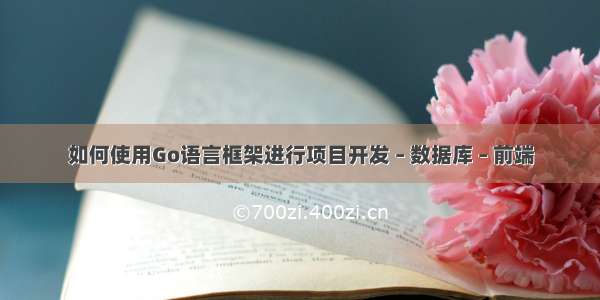 如何使用Go语言框架进行项目开发 – 数据库 – 前端