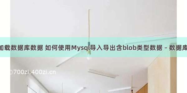 mysql加载数据库数据 如何使用Mysql导入导出含blob类型数据 – 数据库 – 前端 