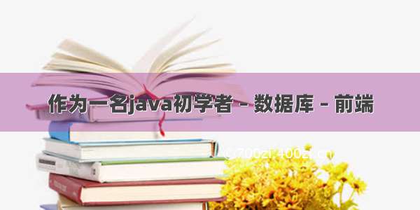 作为一名java初学者 – 数据库 – 前端