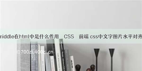 middle在html中是什么作用 – CSS – 前端 css中文字图片水平对齐