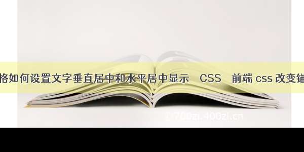 WPS表格如何设置文字垂直居中和水平居中显示 – CSS – 前端 css 改变锚点位置