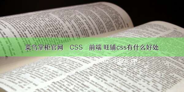 菜鸟掌柜官网 – CSS – 前端 旺铺css有什么好处