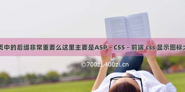 动态网页中的后缀非常重要么这里主要是ASP – CSS – 前端 css 显示图标大小设置