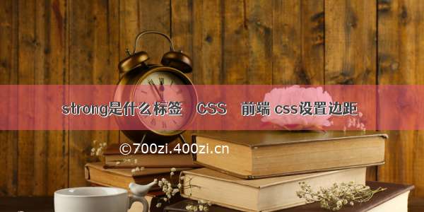 strong是什么标签 – CSS – 前端 css设置边距