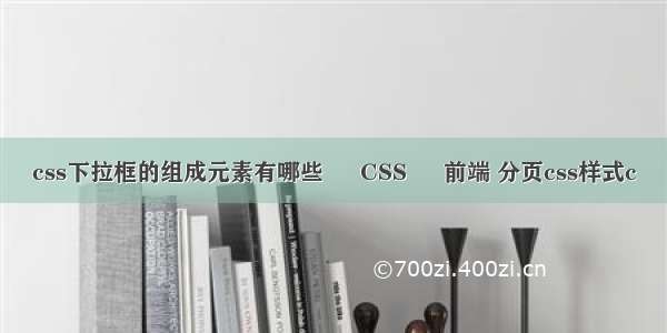 css下拉框的组成元素有哪些 – CSS – 前端 分页css样式c