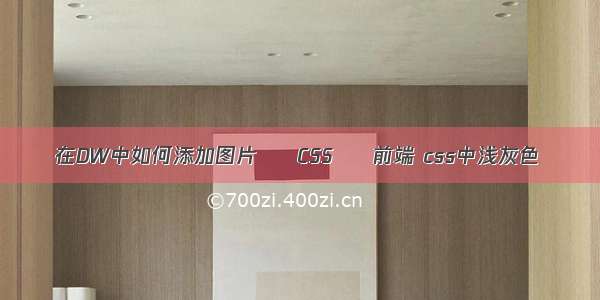 在DW中如何添加图片 – CSS – 前端 css中浅灰色