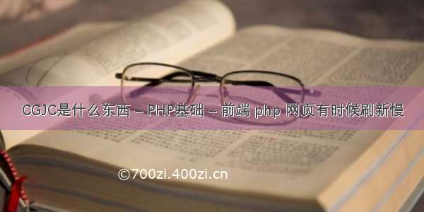 CGJC是什么东西 – PHP基础 – 前端 php 网页有时候刷新慢