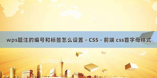 wps题注的编号和标签怎么设置 – CSS – 前端 css首字母样式