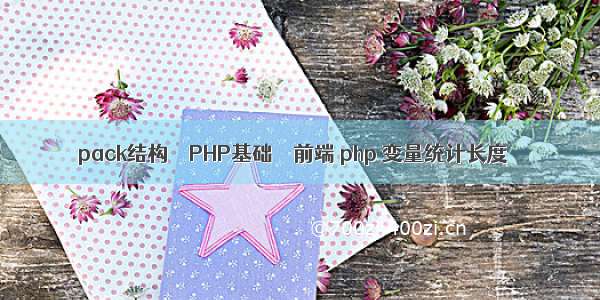 pack结构 – PHP基础 – 前端 php 变量统计长度