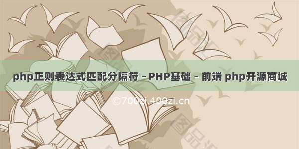 php正则表达式匹配分隔符 – PHP基础 – 前端 php开源商城