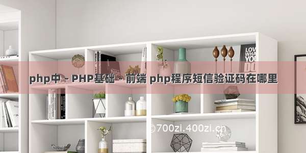 php中 – PHP基础 – 前端 php程序短信验证码在哪里