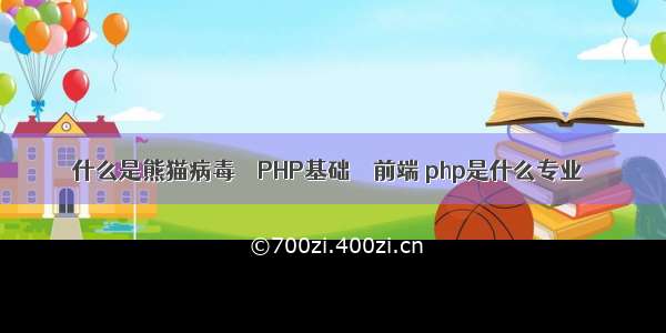 什么是熊猫病毒 – PHP基础 – 前端 php是什么专业