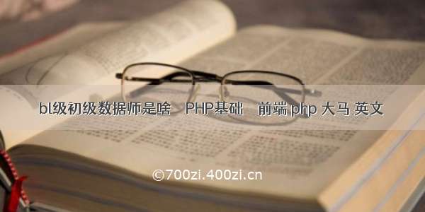 bl级初级数据师是啥 – PHP基础 – 前端 php 大马 英文