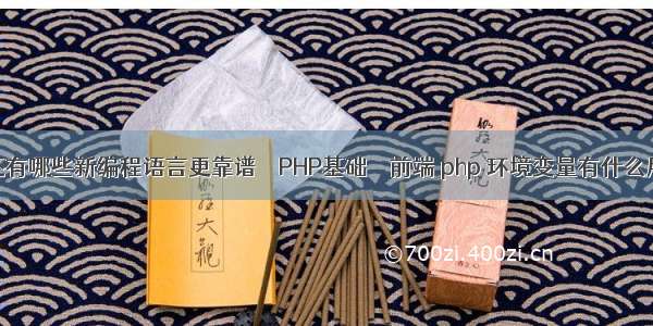 还有哪些新编程语言更靠谱 – PHP基础 – 前端 php 环境变量有什么用