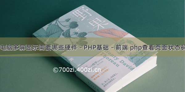 电脑多屏显示需要哪些硬件 – PHP基础 – 前端 php查看页面状态码