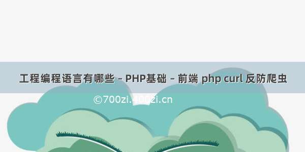 工程编程语言有哪些 – PHP基础 – 前端 php curl 反防爬虫