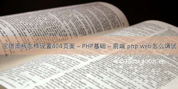 宝塔面板怎样设置404页面 – PHP基础 – 前端 php web怎么调试