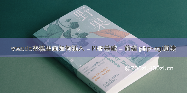 vscode表格里面如何插入 – PHP基础 – 前端 php-cgi崩溃