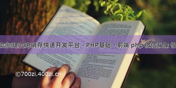 如何建立进销存快速开发平台 – PHP基础 – 前端 php 微信头像 慢