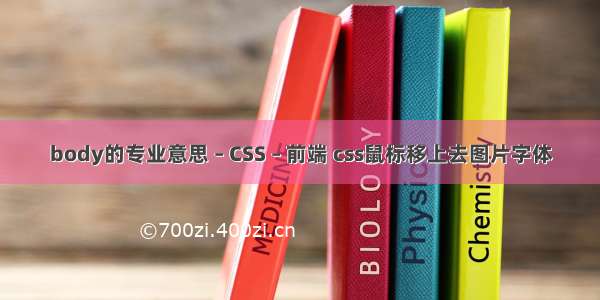 body的专业意思 – CSS – 前端 css鼠标移上去图片字体