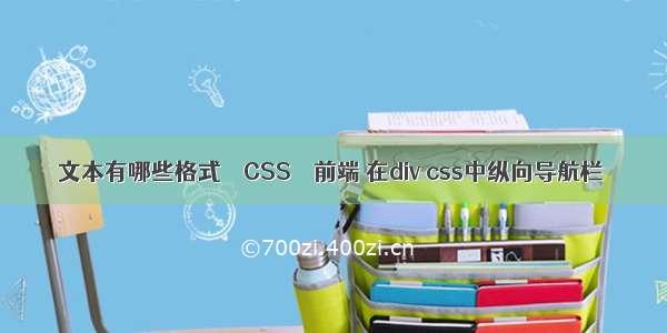 文本有哪些格式 – CSS – 前端 在div css中纵向导航栏