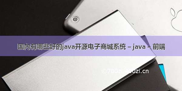 国内有哪些好的java开源电子商城系统 – java – 前端