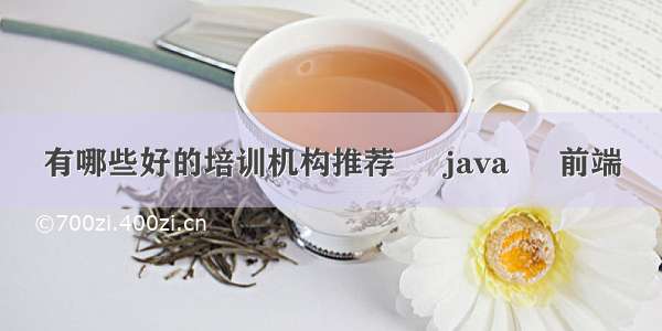 有哪些好的培训机构推荐 – java – 前端