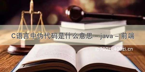 C语言中伪代码是什么意思 – java – 前端