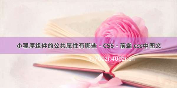 小程序组件的公共属性有哪些 – CSS – 前端 css中图文