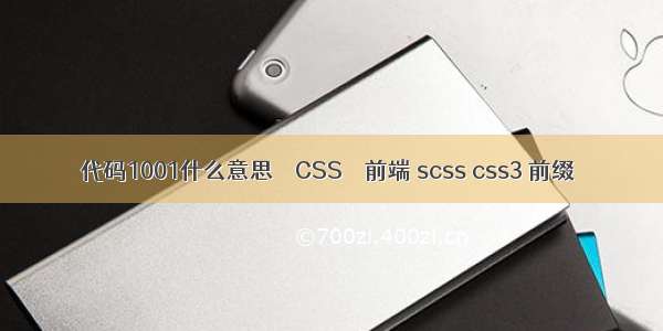 代码1001什么意思 – CSS – 前端 scss css3 前缀