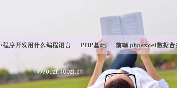 小程序开发用什么编程语言 – PHP基础 – 前端 phpexcel数据合并