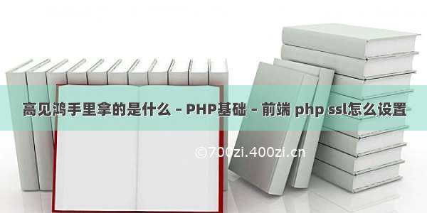 高见鸿手里拿的是什么 – PHP基础 – 前端 php ssl怎么设置