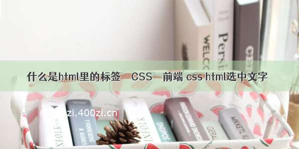 什么是html里的标签 – CSS – 前端 css html选中文字