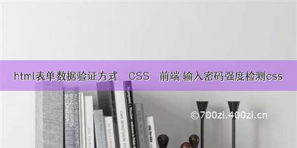 html表单数据验证方式 – CSS – 前端 输入密码强度检测css