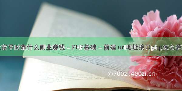 大家平时靠什么副业赚钱 – PHP基础 – 前端 url地址接口php怎么获取