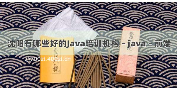 沈阳有哪些好的Java培训机构 – java – 前端