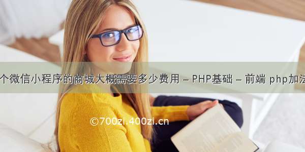 开发一个微信小程序的商城大概需要多少费用 – PHP基础 – 前端 php加法怎么写